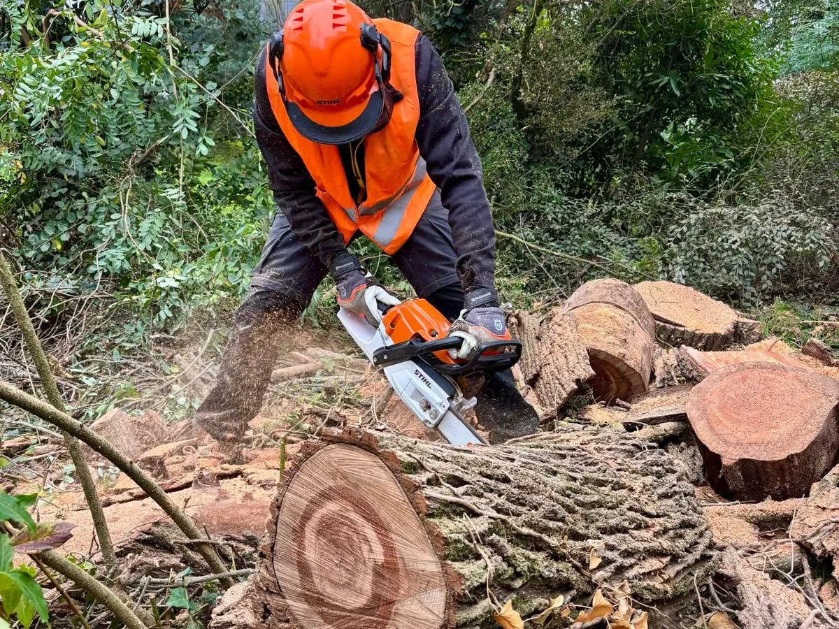 Élagueur en tenue orange qui débite un tronc à la tronçonneuse